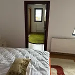 Central Villa Craiova