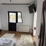 Central Villa Villa Craiova