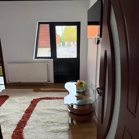 Луксозна вила Central Villa Крайова