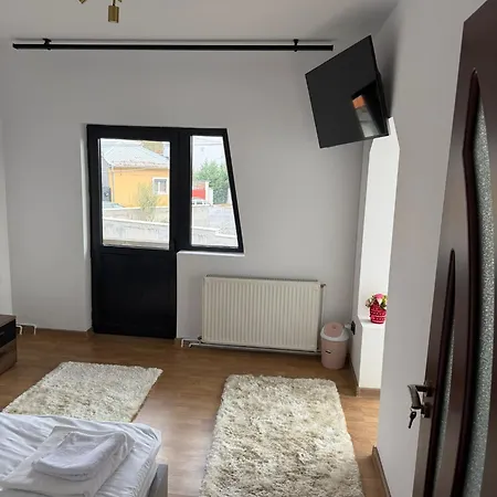 Central Villa Villa Craiova