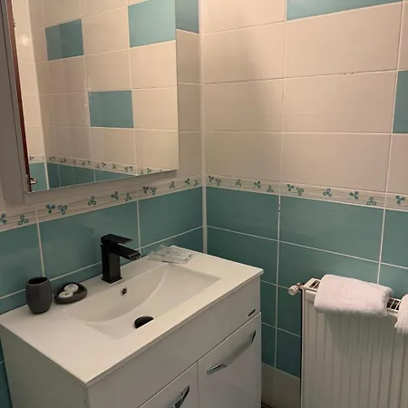 Villa Central Villa Craiova