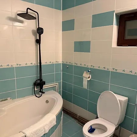 Vila Central Villa Craiova