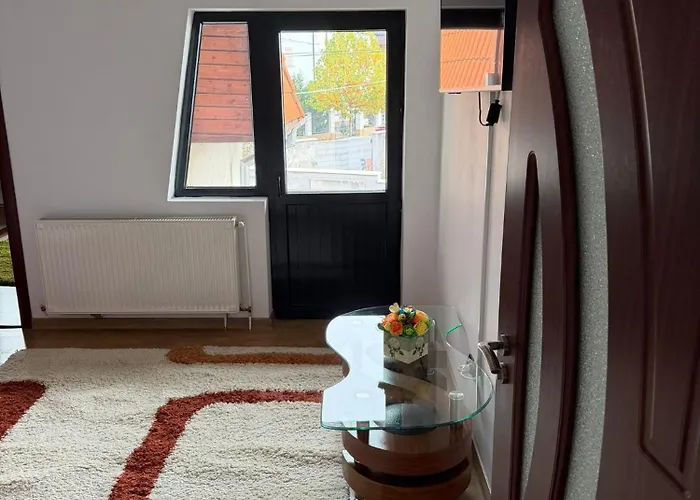 Vila Central Villa Craiova