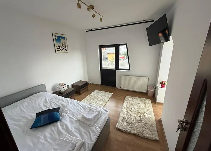 Vila Central Villa Craiova