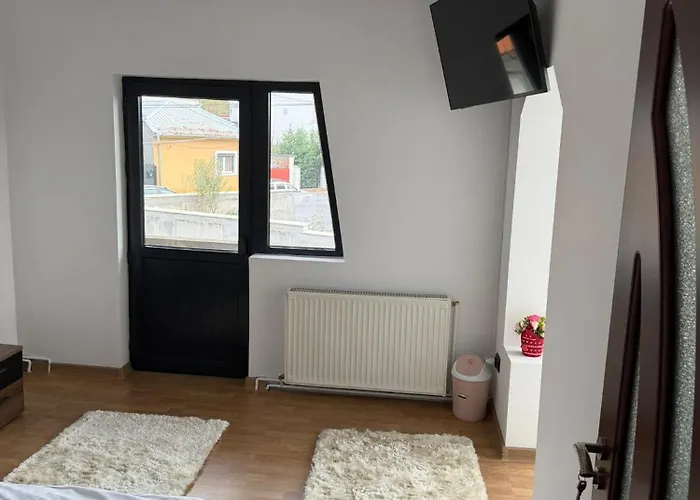 Central Villa Vila Craiova