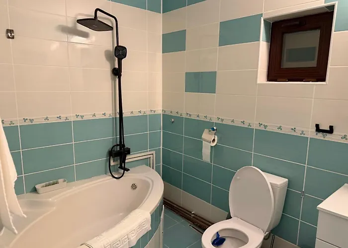 Vila Central Villa Craiova